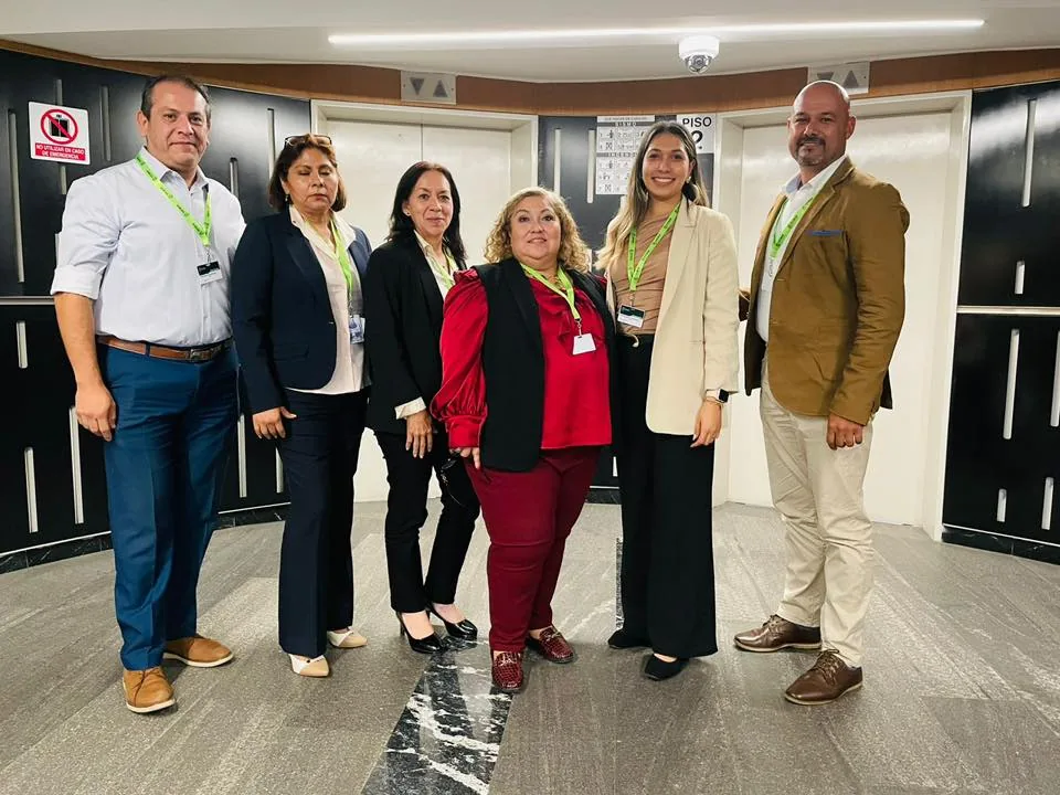Equipo MS Asesorías